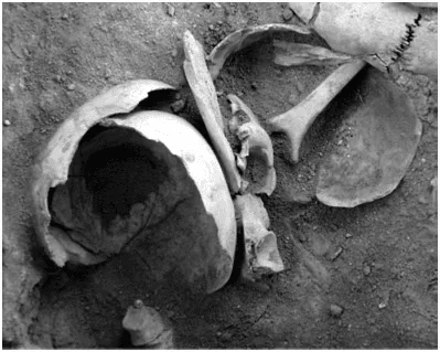 Figure 2. Cranium fragments placed at the base of the pit, and above them other fragments. Source: Cáceres et al., 2007: 902.