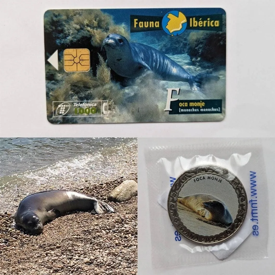 Gray seal

Automatically generated description with medium confidence
