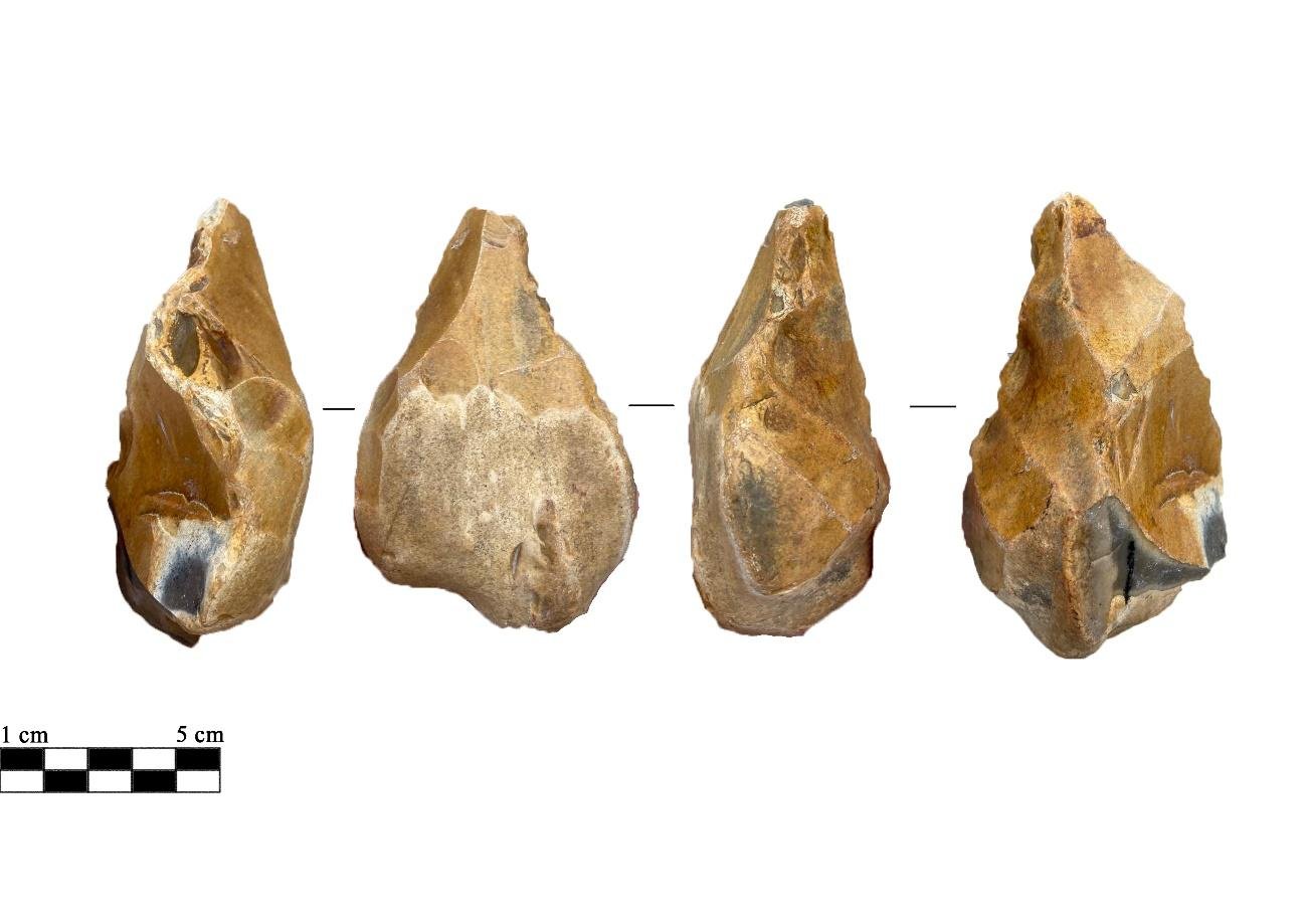 Imagen que contiene alimentos, fruta

Descripción generada automáticamente