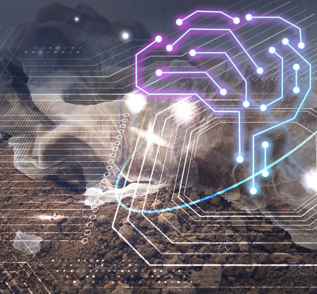 Inteligencia Artificial (IA) en la Arqueología